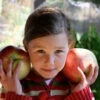Wolf River Apple -Orchard Sprout Young girl with huge Wolf River apples Photo by Jan Mangan