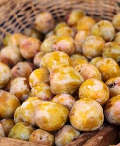 Emerald Beaut Asian Plum