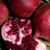 Eve Pomegranate -Orchard Sprout eve pomegranate