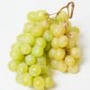 Himrod Seedless Grape -Orchard Sprout himrod grape