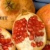Sweet Pomegranate -Orchard Sprout sweet