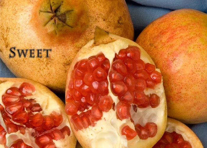 Sweet Pomegranate 3 Sweet Pomegranate
