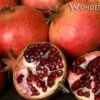 Wonderful Pomegranate -Orchard Sprout wonderful