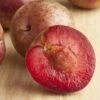 Combo Zee Sweet Pluot Tree (3 Varieties) 1 Combo Zee Sweet Pluot Tree (3 Varieties) -Orchard Sprout zee sweet pluot